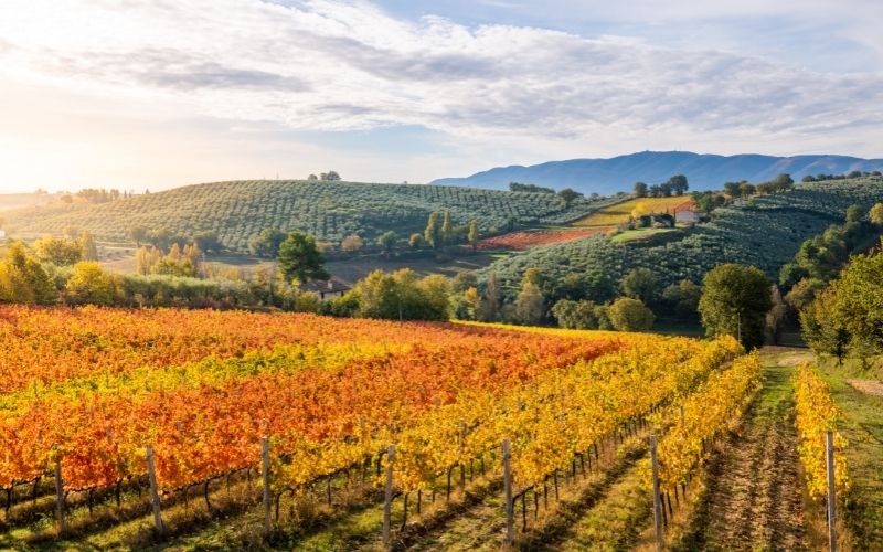 PASQUA GOLOSA TRA UMBRIA E TOSCANA